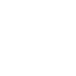 Seguro de autos
